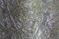 Hopton fibreglass roof work